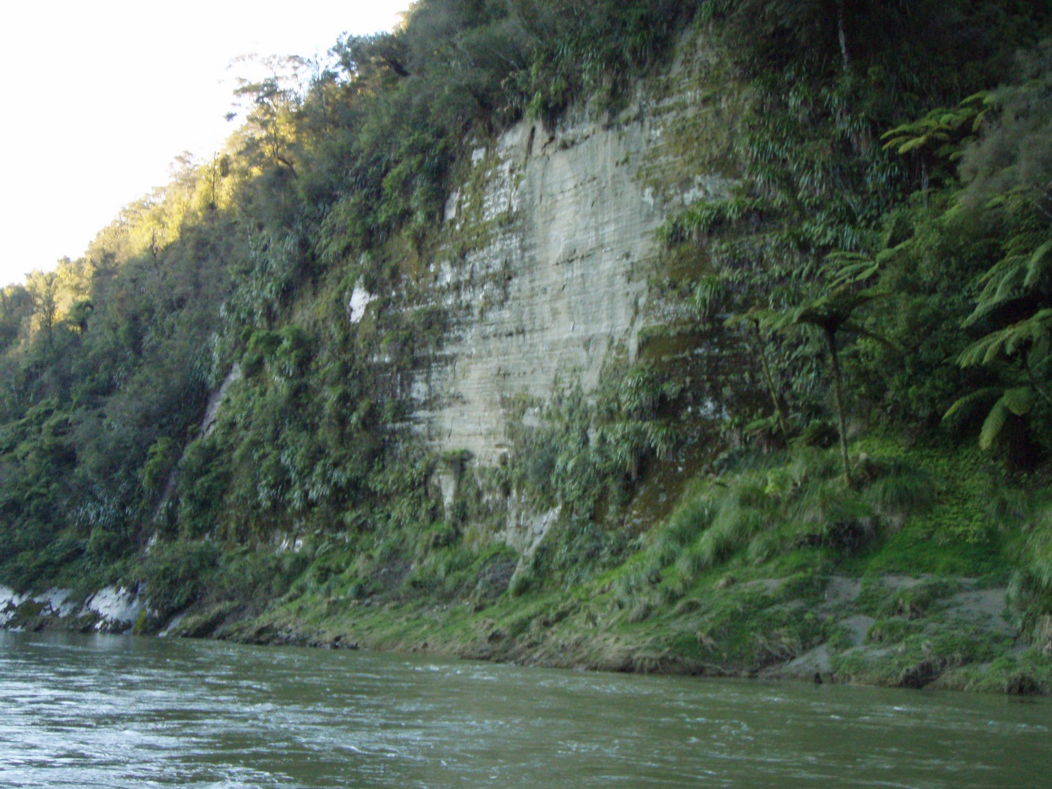 shots of river bank